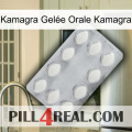 Kamagra Gelée Orale Kamagra 16